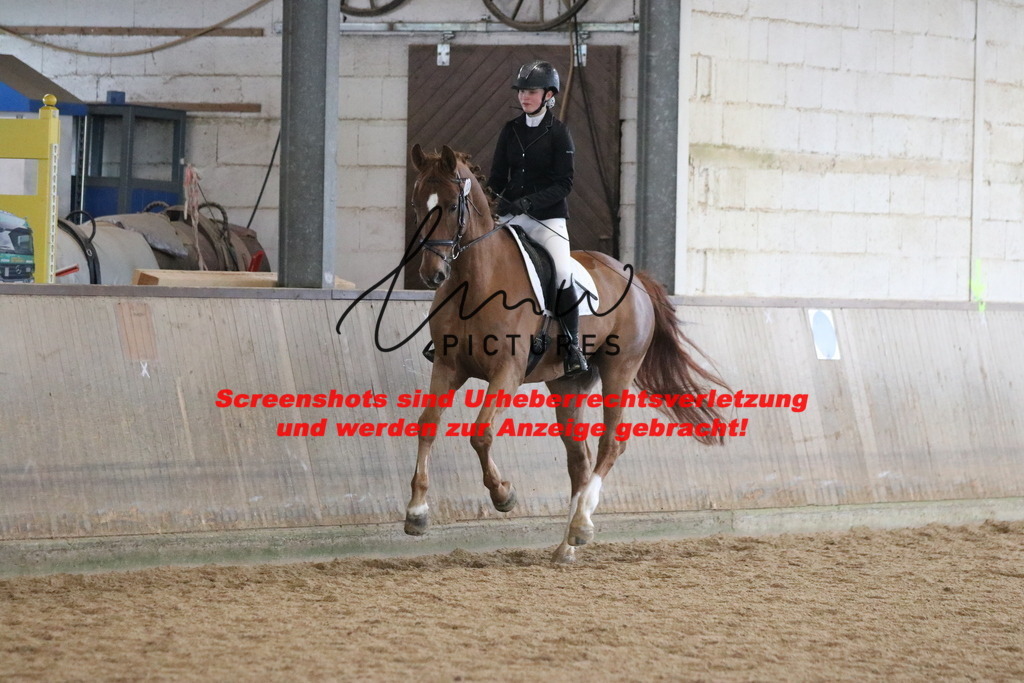 IMG_7793 | lmwpictures - Realisiert mit Pictrs.com