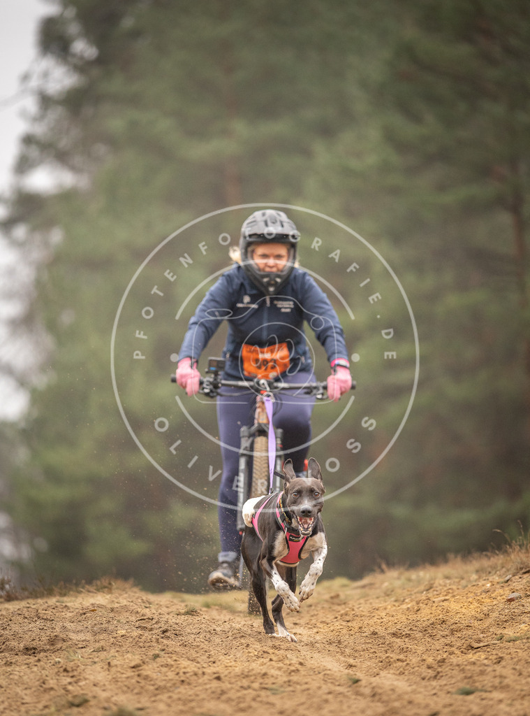Pfotenfotografie_DV3A2998 | Hundefotografie, Tierfotograf, Pfotenfotografie, Fotoshooting Hund, Hunde Portrait, Hundesport, Hundeportraits, Heideshooting, Hunde, Sportfotograf, Hundefotograf, Turnierhundsport, THS,  - Realisiert mit Pictrs.com