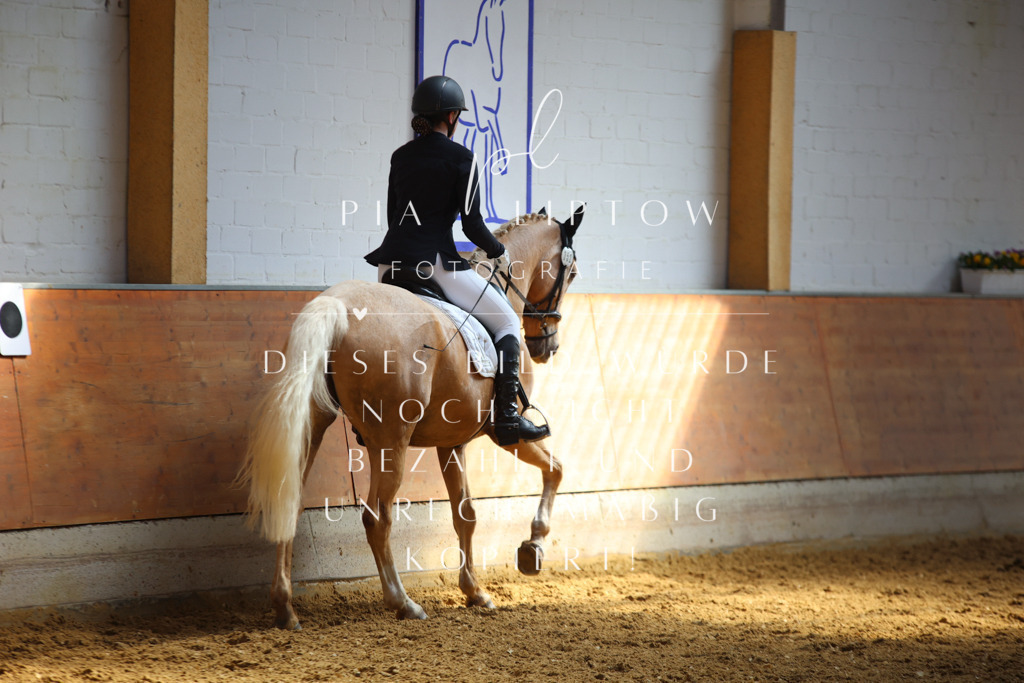 IMGT7256 | pl-fotografie