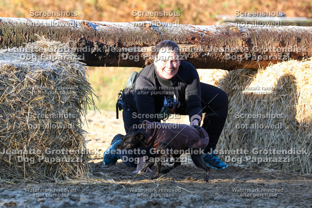 Dog Paparazzi - Strongdog 10-25-720 | Dog Paparazzi Jeanette Grottendiek Fotografie & Videografie - Realisiert mit Pictrs.com
