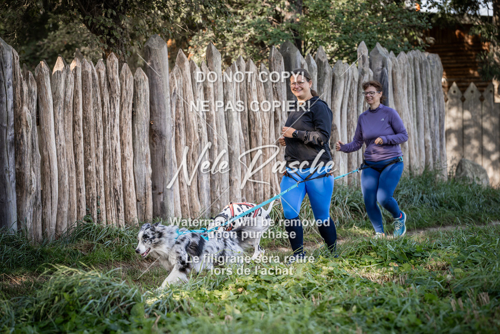 nelerasche_slaw24So_41 | nelerasche