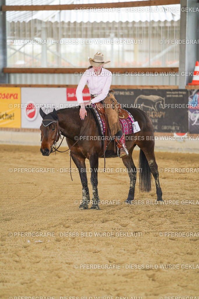 DSC09364 | Pferdegrafie