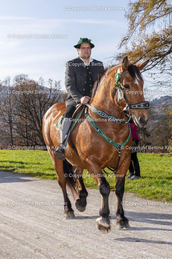 LBT24-1450 | foto-bettina-krinner - Realisiert mit Pictrs.com