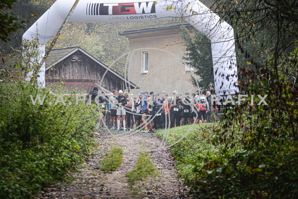 ..... | AUSTRIA, 09.11.24, Leonding,TGW KÜRNBERGTRAILRUN, Image shows: Photo: Wapics / Andreas Willdoner