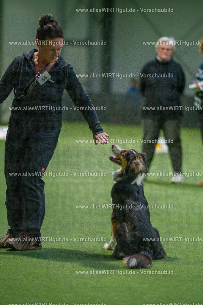 7R506977 | Professionelle Tierfotografie in Mönchengladbach von Daniel Wirth (allesWIRTHgut). Liebevolle & natürliche Bilder von Hunden & Katzen für unvergessliche Erinnerungen.