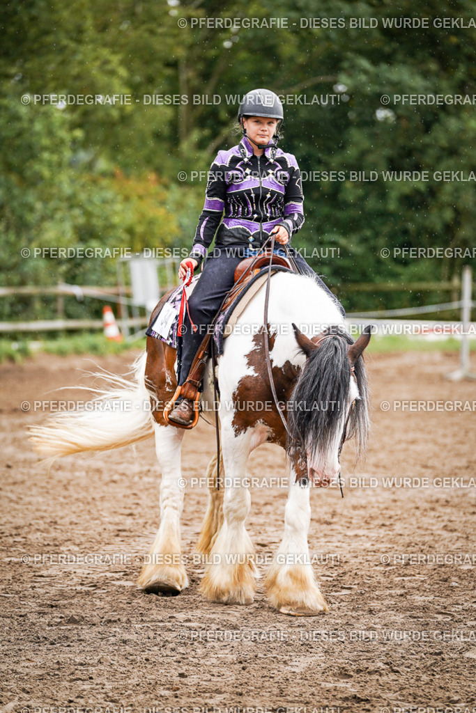 DSC05350 | Pferdegrafie