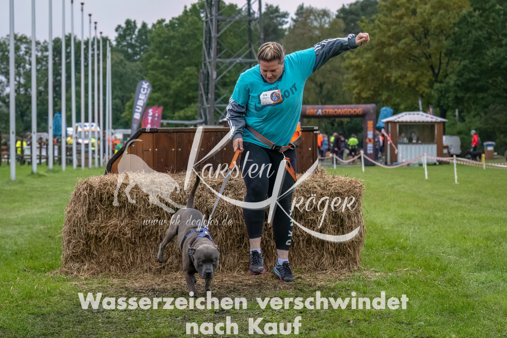 1203--6 | kk-dogfotos