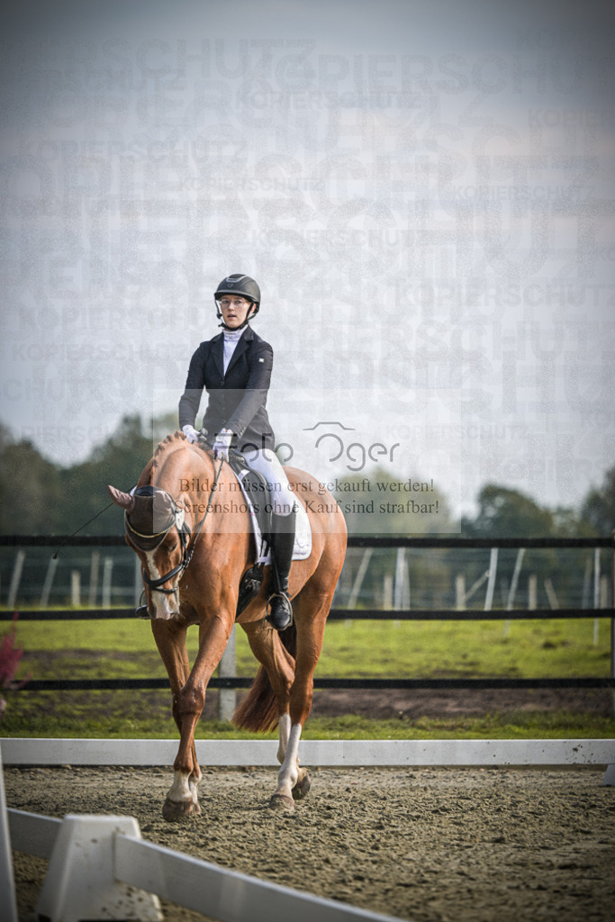 DOS_B060 | Entdecke hochwertige Reitturnierfotos von Foto Oger. Professionell, emotional und authentisch – jetzt Lieblingsmomente im Shop bestellen.Deutschlandweite Turnierfotografie. - Realisiert mit Pictrs.com