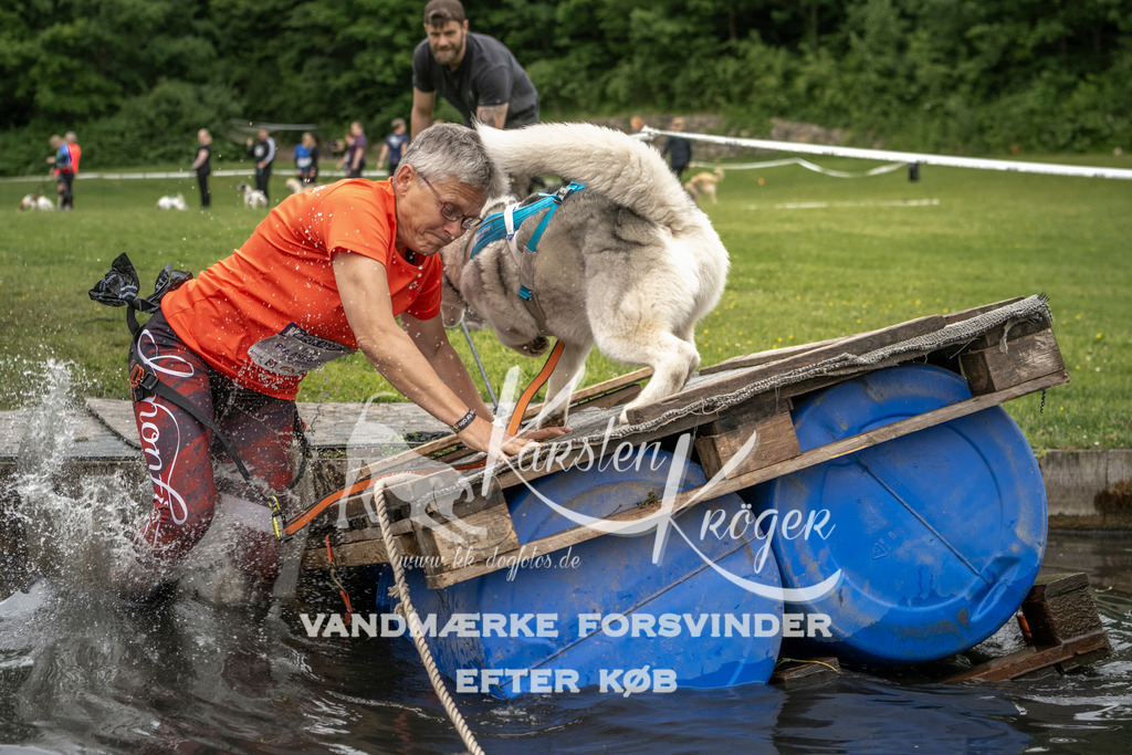 1001_ZZ93521 | kk-dogfotos