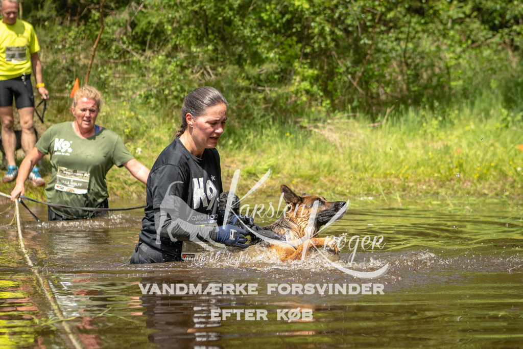 1235DKK993069 | kk-dogfotos