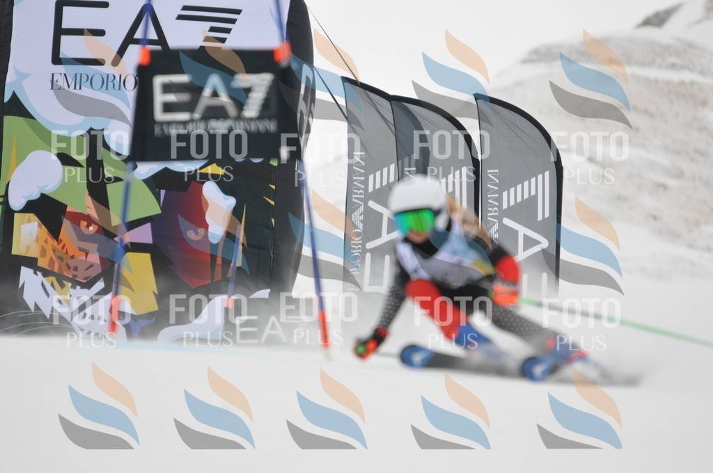 DSC_8239 | holidayphoto