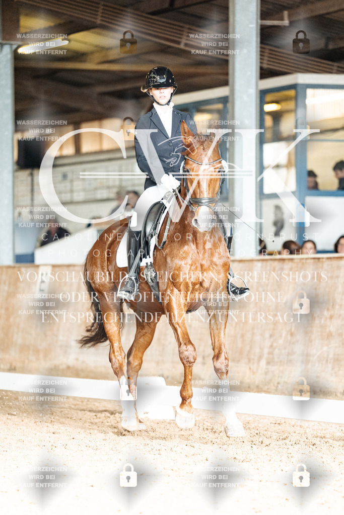 CK902436 | Turnierfotografie Pferdefotografie Trier Rheinland-Pfalz Pferdesport Reitsport Tierfotografie Sportfotografie Pferdevideo Pferdevideografie Equestrianvideography equestrianphotography  - Realisiert mit Pictrs.com