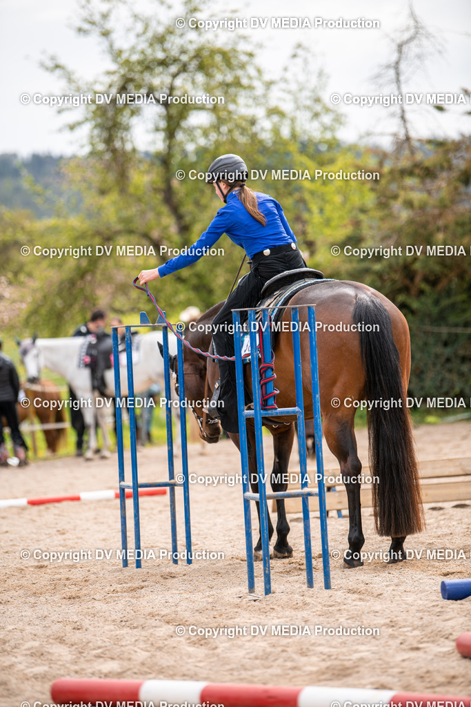 Balingen Tag 2-343 | dv-media-shop - Realisiert mit Pictrs.com