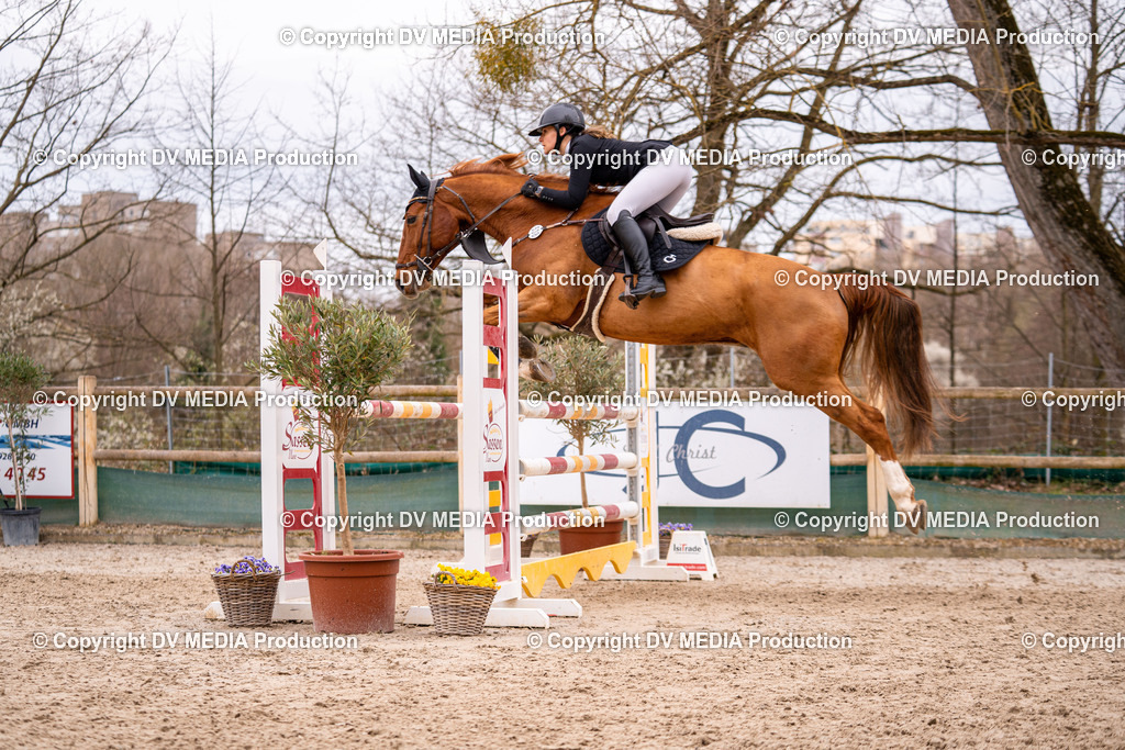 Kranichstein Tag 2-167 | dv-media-shop - Realisiert mit Pictrs.com