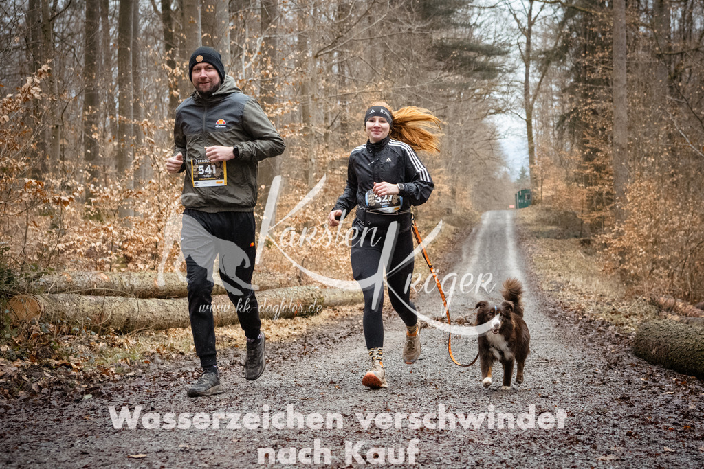 1217_ZZ94980 | kk-dogfotos