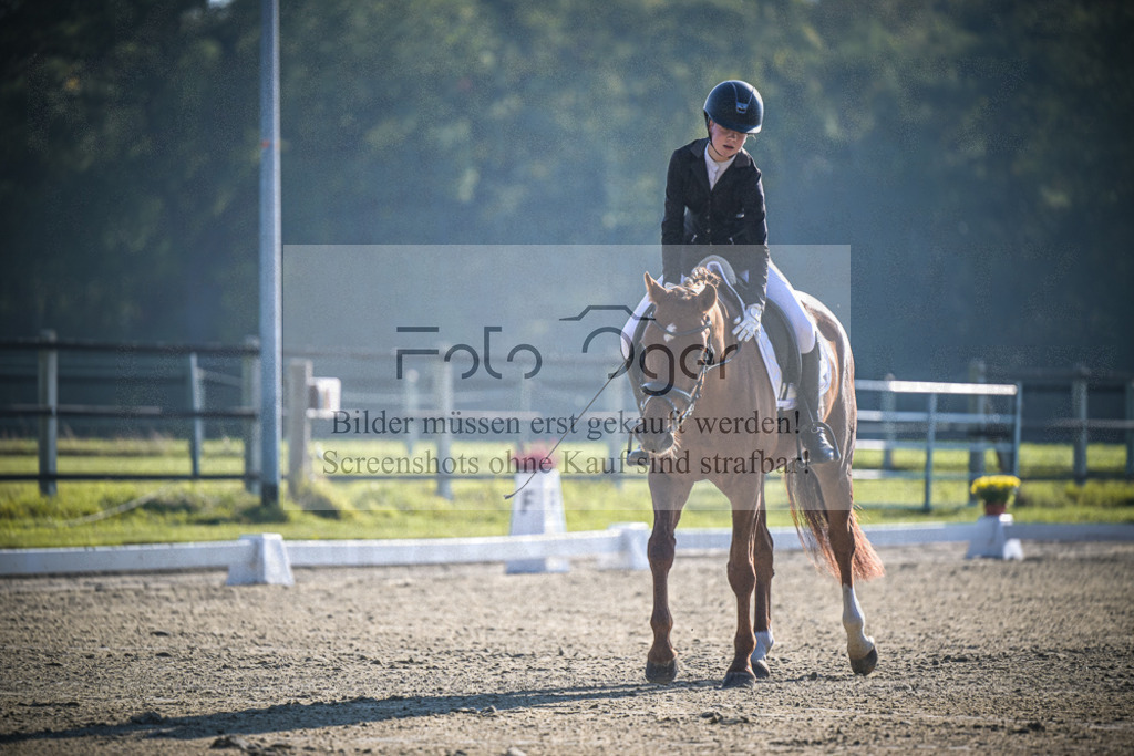DOS_0984 | Entdecke hochwertige Reitturnierfotos von Foto Oger. Professionell, emotional und authentisch – jetzt Lieblingsmomente im Shop bestellen.Deutschlandweite Turnierfotografie. - Realisiert mit Pictrs.com