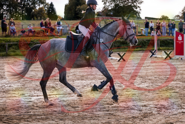 2026_10_03_Siefer-Hof_145055_Z81_29325009 | Professionelle Reitsport-, Turnier- und Eventfotografie von Robert Broda. Galerien mit ausgewählten und bearbeiteten Bildern direkt online ansehen und bestellen.
