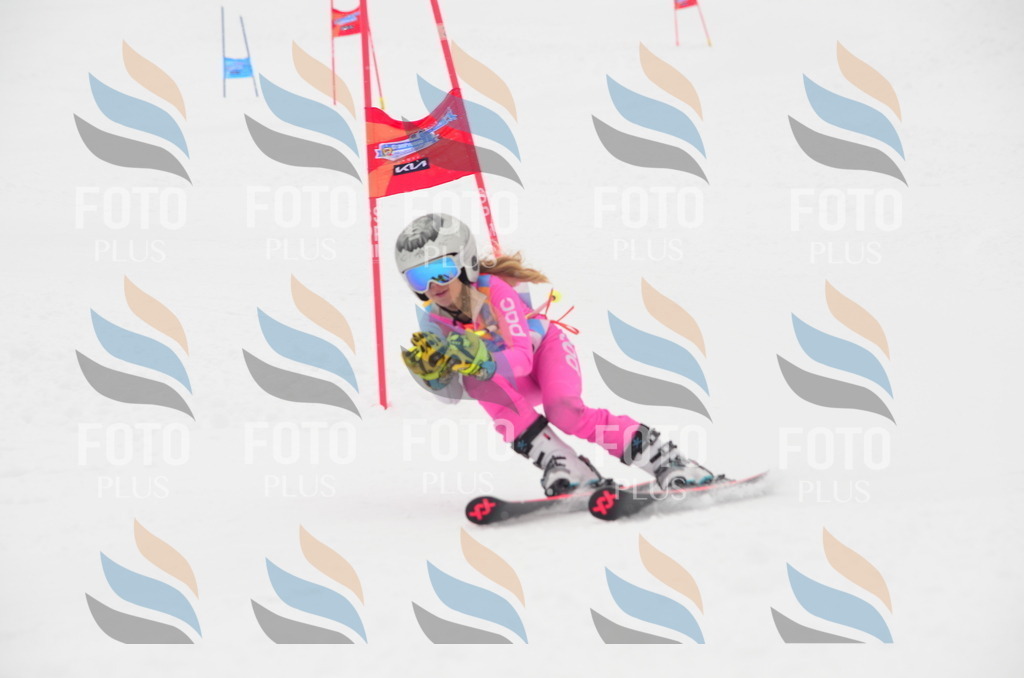 C1091 | holidayphoto