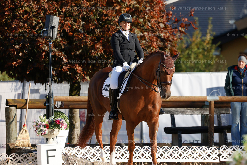 09_1-230-DRESSUR  S_  -StoibPH-5536 | working equitationturnier fotograf videograf stoibphotography marixx film working equitation deutschland reitsport turnierfotografie eventfotografie equestrian events