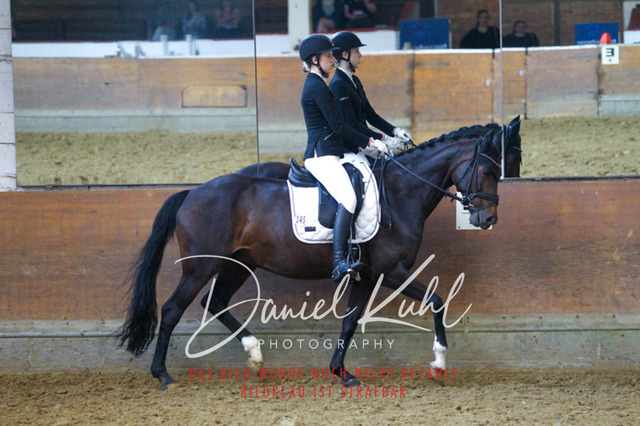 DKP43529 | Turniersportfotografie; Pferdefotografie; Dressurfotografie