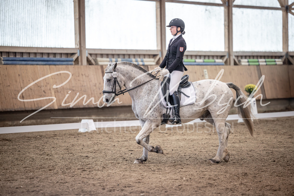 20251011-_3LI0660 | Tierfotografie Pferde, Hunde, Katzen, Haustiere.
Turnierfotografie Reitturniere, Reiten, Springreiten, Dressur in Hanau, dem Main-Kinzig-Kreis und dem Rhein-Main- Gebiet um Frankfurt