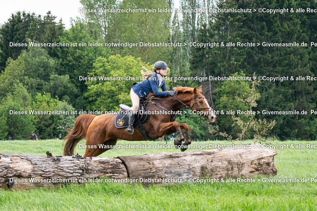 DVJ05462 | Eventfotografie, Hochzeitsreportagen, Getting ready, Engagement, Hochzeitsfotograf, Paarfotografie, Porträts Mensch und Tier, Schleppjagden, Jagdfotos, Musicals, Konzerte, Back stage + Front of stage Reports, Tourbegleitung