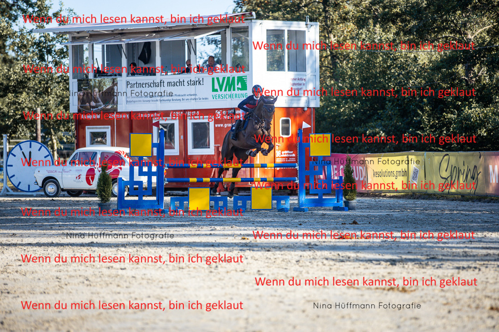 BK1A6194 | Turnierbilder Turnierfotos Nina Hüffmann Turnierfotografie Pferdefotografie Tierzeichnung Haustierzeichnung Pferdezeichnung Hundezeichnung Videograf  - Realisiert mit Pictrs.com