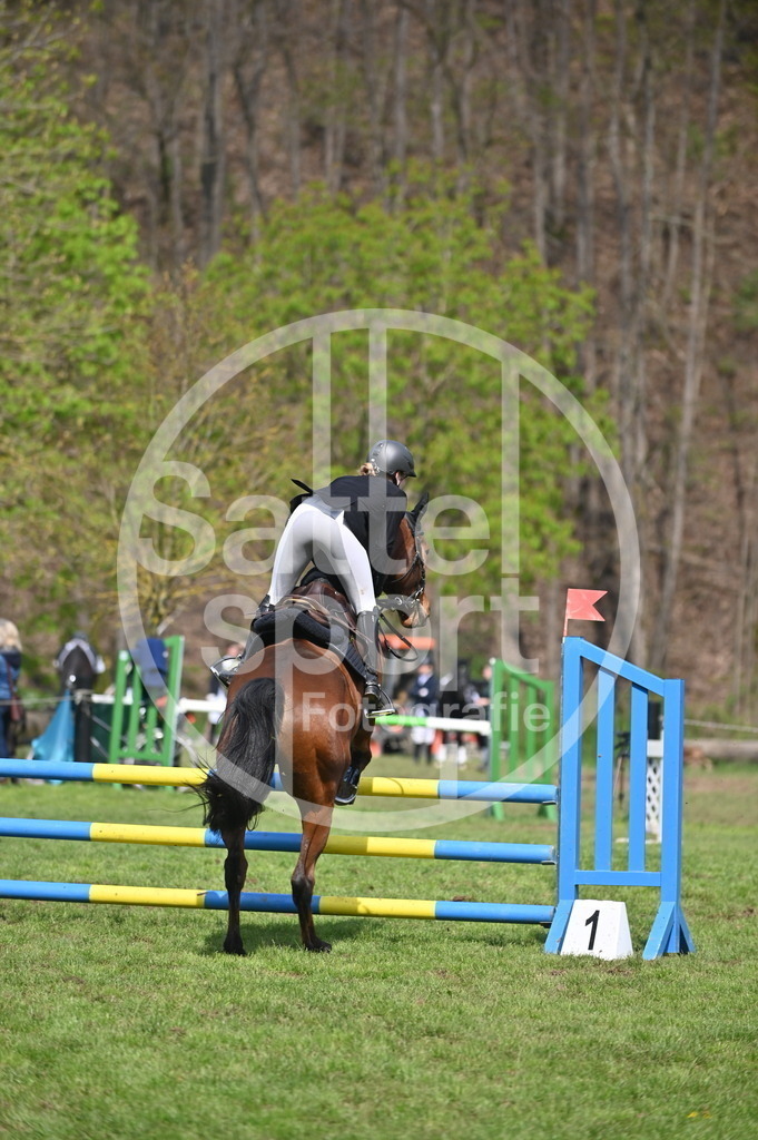 DSC_1301 | sattelsport - Realisiert mit Pictrs.com