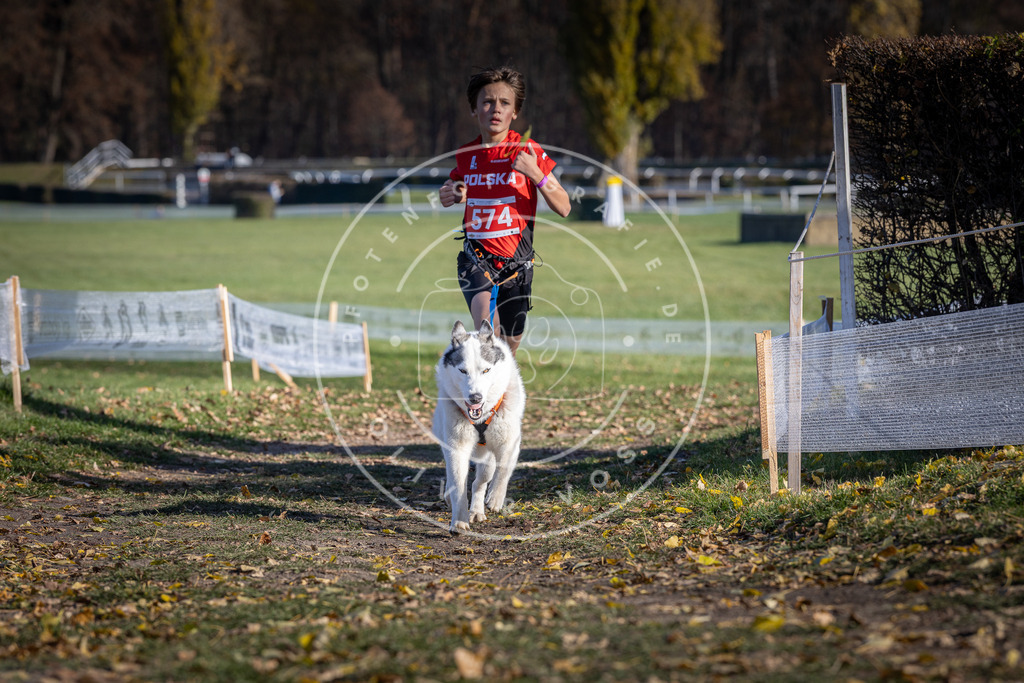 CaniXpix_DV3A8921 | Hundefotografie, Tierfotograf, Pfotenfotografie, Fotoshooting Hund, Hunde Portrait, Hundesport, Hundeportraits, Heideshooting, Hunde, Sportfotograf, Hundefotograf, Turnierhundsport, THS,  - Realisiert mit Pictrs.com