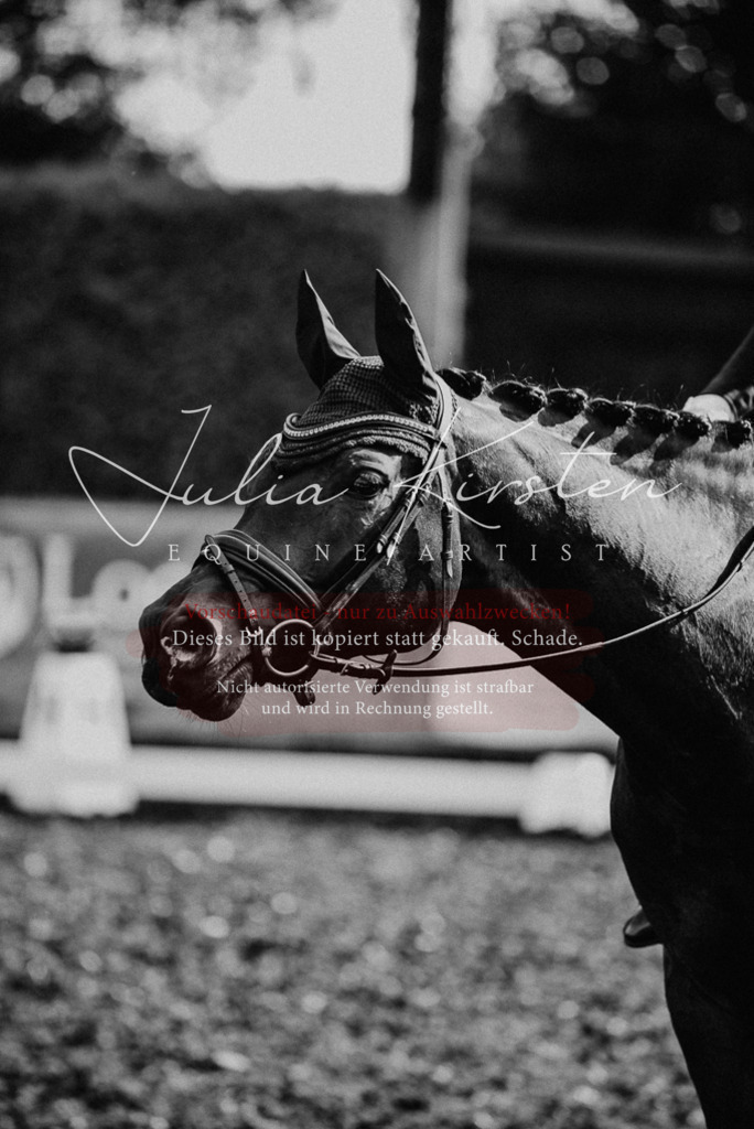 DSC_3130 | Pferde- und Turnierfotografie in Westsachsen. Pferdeportraits, Auftragszeichnungen und intuitive Kunst.