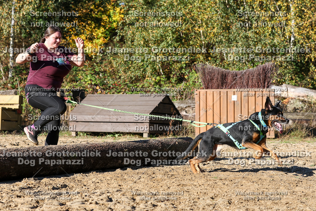 Dog Paparazzi - Strongdog 10-25-1898 | Dog Paparazzi Jeanette Grottendiek Fotografie & Videografie - Realisiert mit Pictrs.com