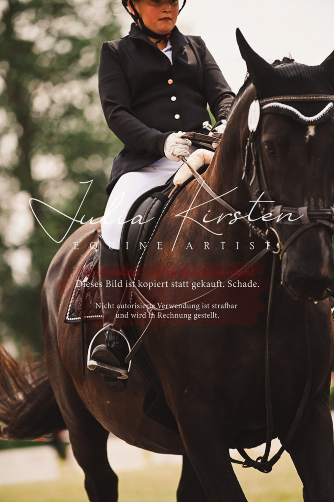 DSC_6344 | Pferde- und Turnierfotografie in Westsachsen. Pferdeportraits, Auftragszeichnungen und intuitive Kunst.