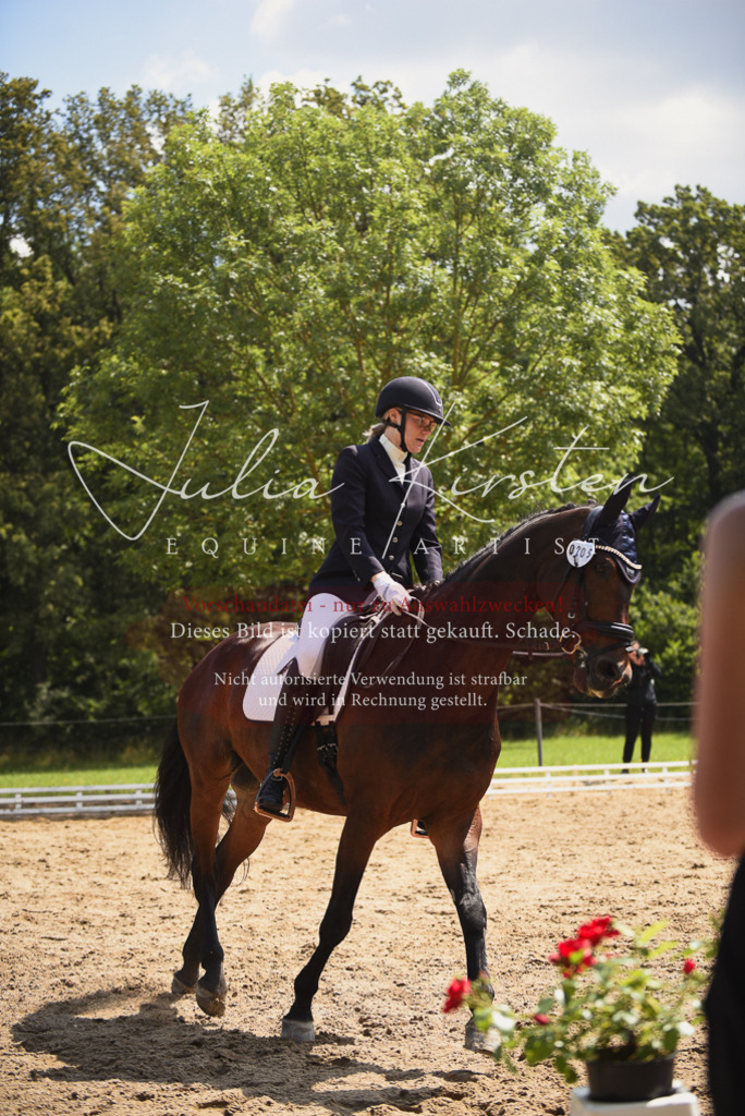 DSC_0949 | Pferde- und Turnierfotografie in Westsachsen. Pferdeportraits, Auftragszeichnungen und intuitive Kunst.