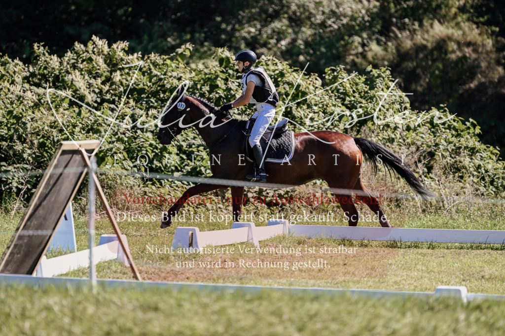 DSC_1726 | Pferde- und Turnierfotografie in Westsachsen. Pferdeportraits, Auftragszeichnungen und intuitive Kunst.