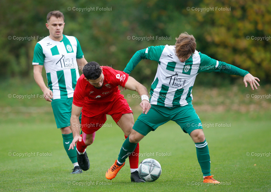 A_LUI_191024_04 | bilder, linz, photo, foto, fussball, sport, fotolui, bundesliga