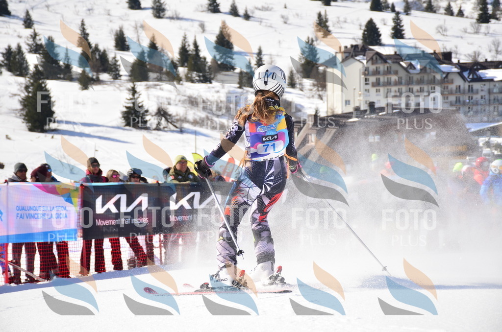 VR4_9041 | holidayphoto