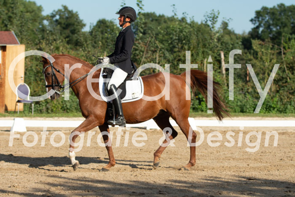 IMG_0971 | Creatify Fotografie