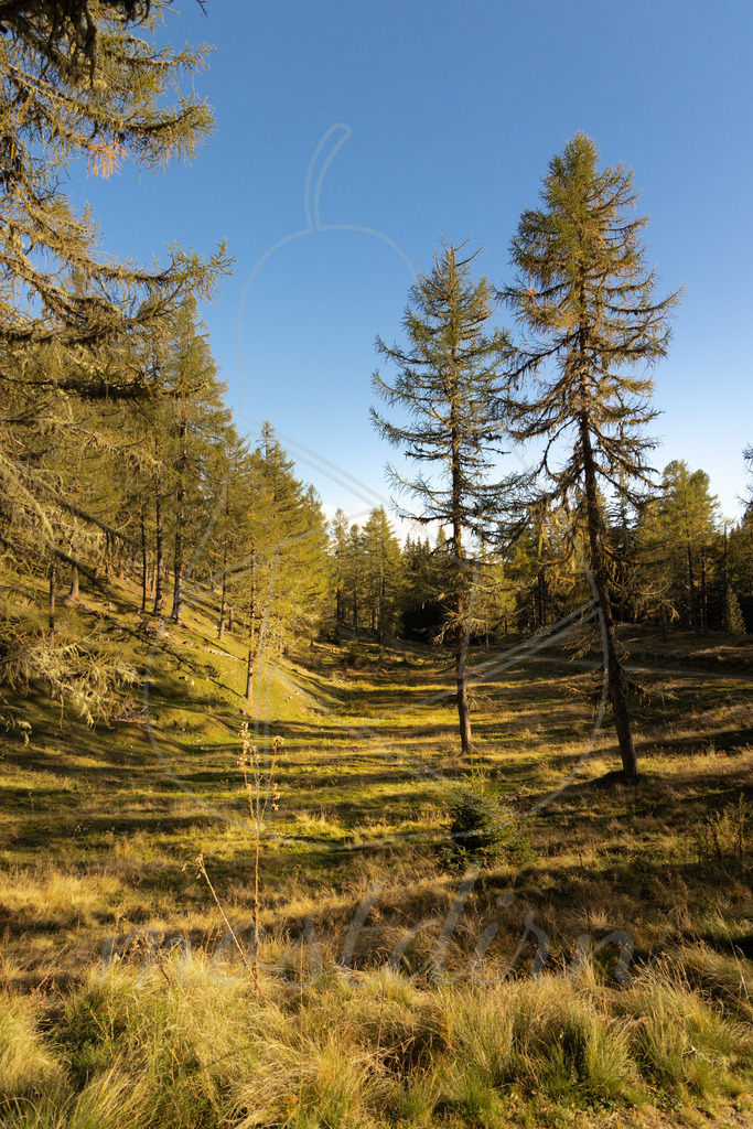 Herbst im Lungau | Ihre Fotografin im Lungau, ihre Fotografin im Mostviertel, Wandbilder Onlineshop, Imagefotos für Ihr Unternehmen,  - Realisiert mit Pictrs.com