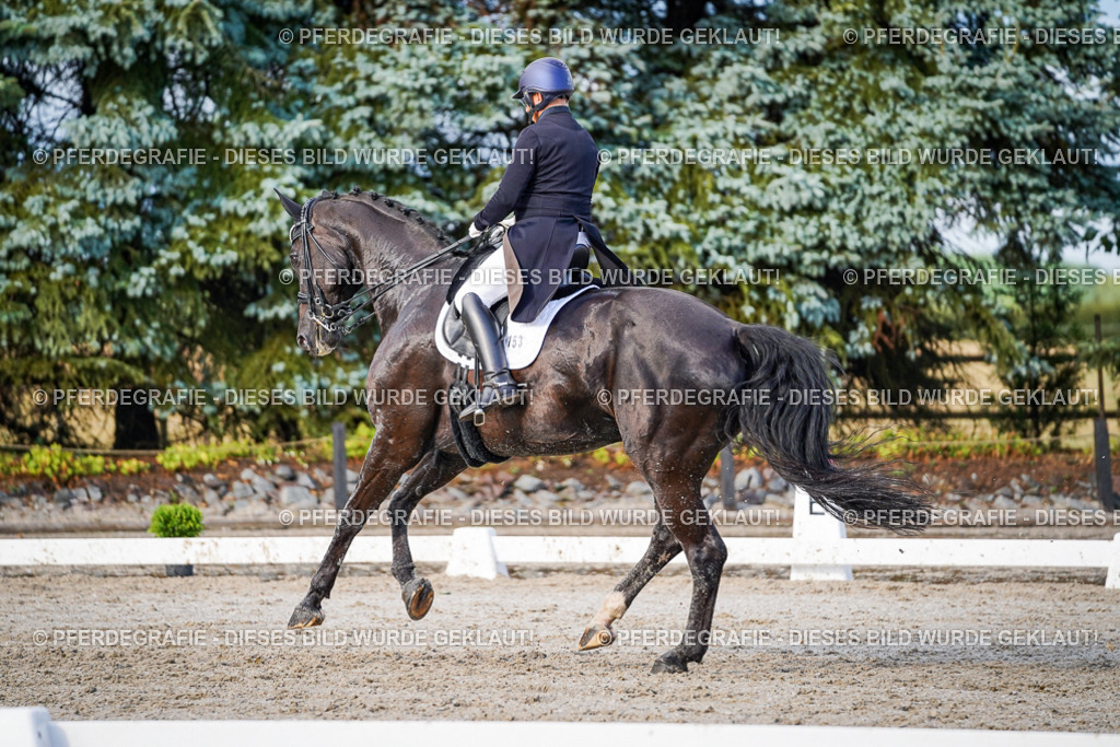 DSC00525 | Pferdegrafie