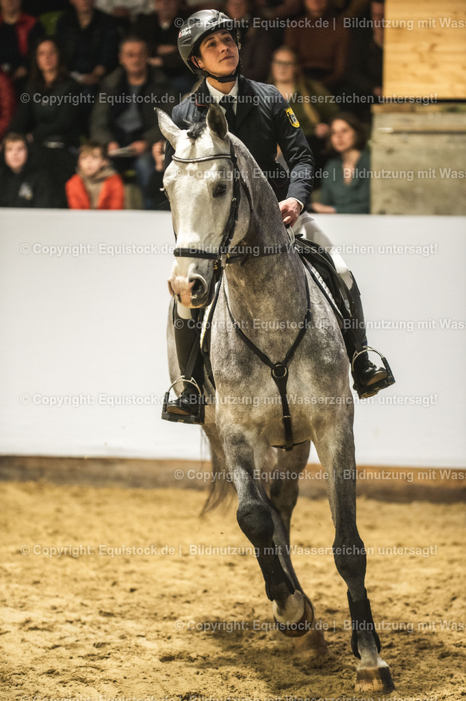 20240302_Hengstvorstellung_Marbach_TOMsPiC_0315 | equistock