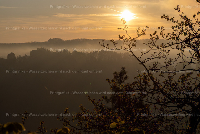 Morgenlicht über der stillen Landschaft | Warmer Sonnenaufgang über einer ruhigen, leicht nebligen Landschaft. Die silhouettenhaften Bäume und sanften Hügel erzeugen eine stille, natürliche Stimmung mit weichem Licht und atmosphärischer Tiefe. - Realisiert mit Pictrs.com