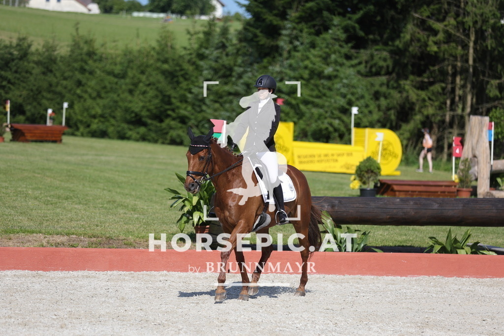 0P6A8107 | Willkommen bei Brunnmayr - Design & Fotografie – Ihrem Spezialisten für Reitturniere und Pferdeveranstaltungen in Oberösterreich, Salzburg und Bayern! Seit über 17 Jahren sind wir leidenschaftlich dabei.