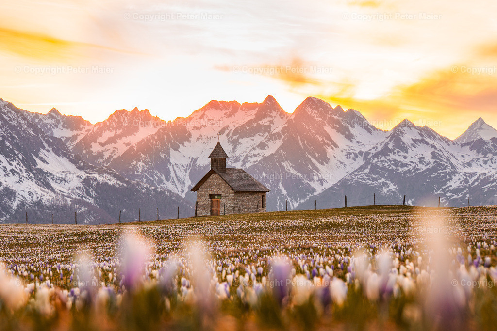 Glocknerblick-199 | piet_flosse