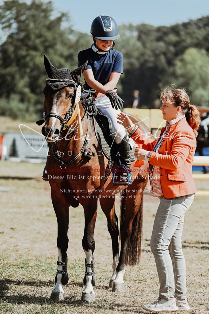 DSC_0115 | Pferde- und Turnierfotografie in Westsachsen. Pferdeportraits, Auftragszeichnungen und intuitive Kunst.