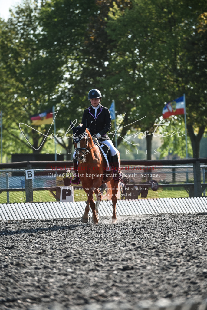 DSC_8418 | Pferde- und Turnierfotografie in Westsachsen. Pferdeportraits, Auftragszeichnungen und intuitive Kunst.