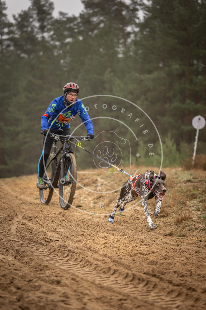 Pfotenfotografie_DV3A2868 | Hundefotografie, Tierfotograf, Pfotenfotografie, Fotoshooting Hund, Hunde Portrait, Hundesport, Hundeportraits, Heideshooting, Hunde, Sportfotograf, Hundefotograf, Turnierhundsport, THS,  - Realisiert mit Pictrs.com