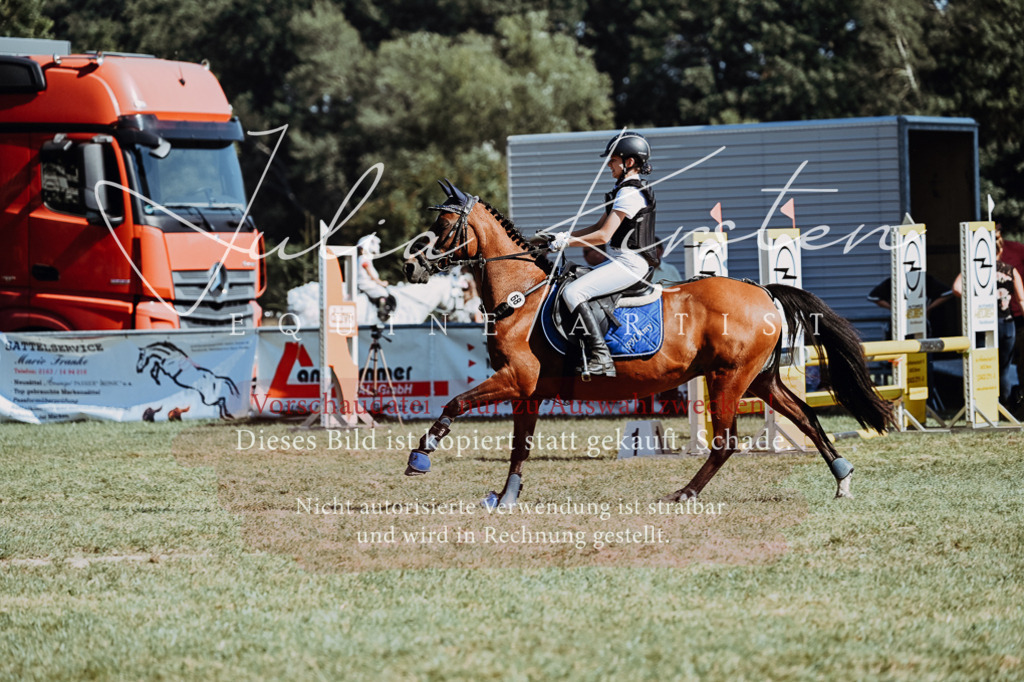 DSC_6923 | Pferde- und Turnierfotografie in Westsachsen. Pferdeportraits, Auftragszeichnungen und intuitive Kunst.