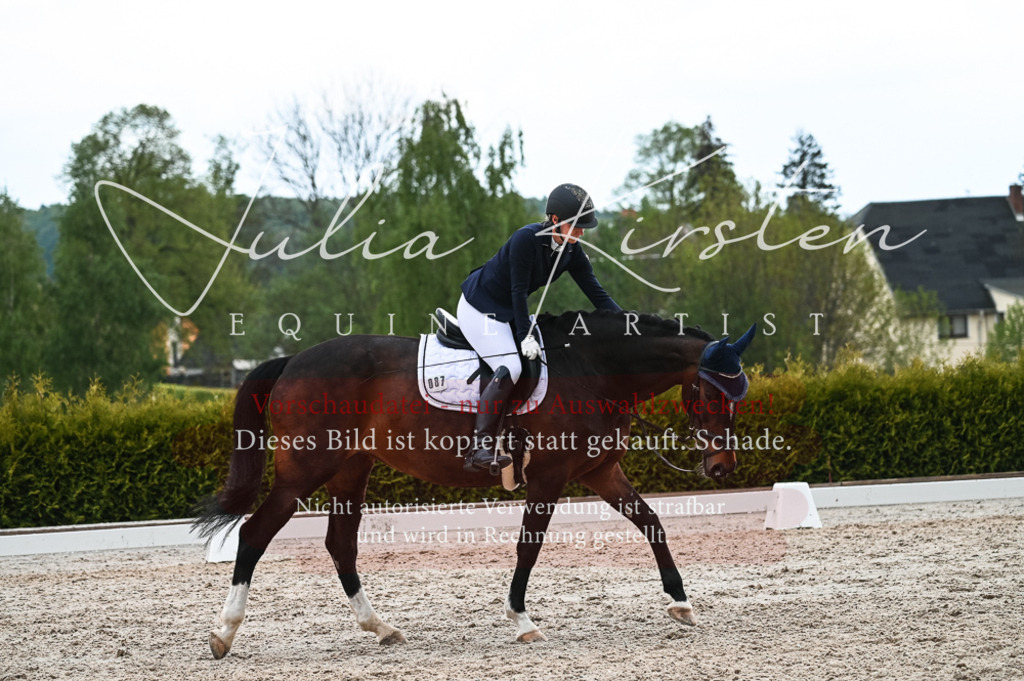 20230513_JK-Röhrsdorf-11-242 | Pferde- und Turnierfotografie in Westsachsen. Pferdeportraits, Auftragszeichnungen und intuitive Kunst.