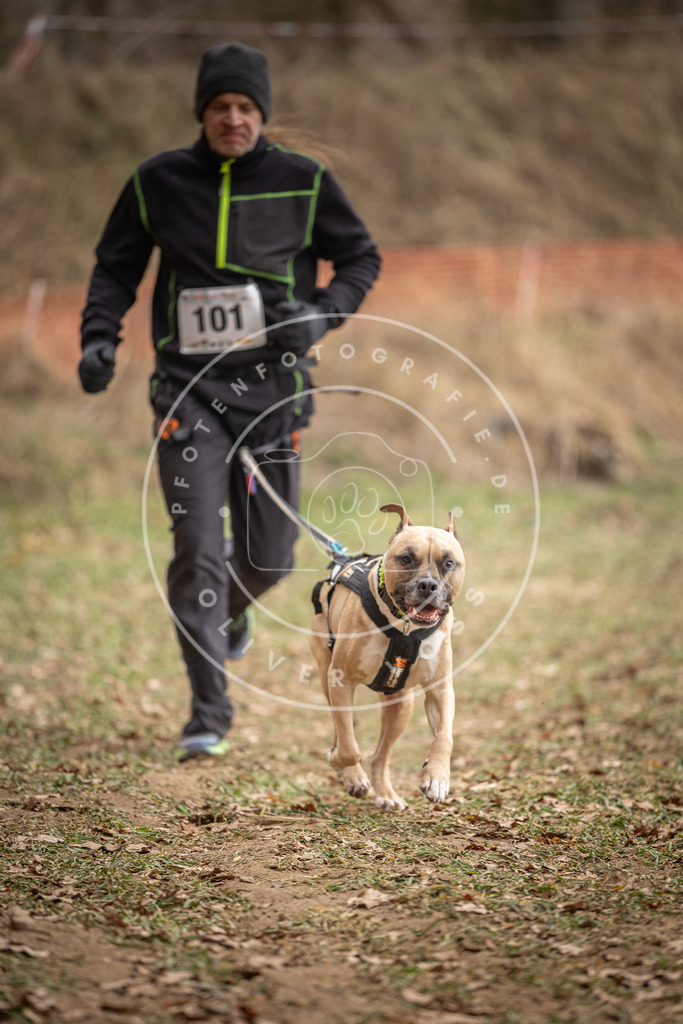 Pfotenfotografie_DV3A7449 | Hundefotografie, Tierfotograf, Pfotenfotografie, Fotoshooting Hund, Hunde Portrait, Hundesport, Hundeportraits, Heideshooting, Hunde, Sportfotograf, Hundefotograf, Turnierhundsport, THS,  - Realisiert mit Pictrs.com