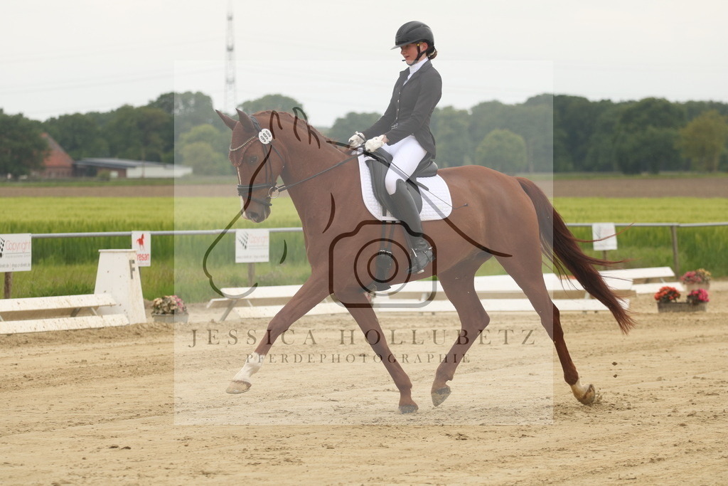 IMG_6749 | jessicahollubetz_pferdephotographie - Realisiert mit Pictrs.com